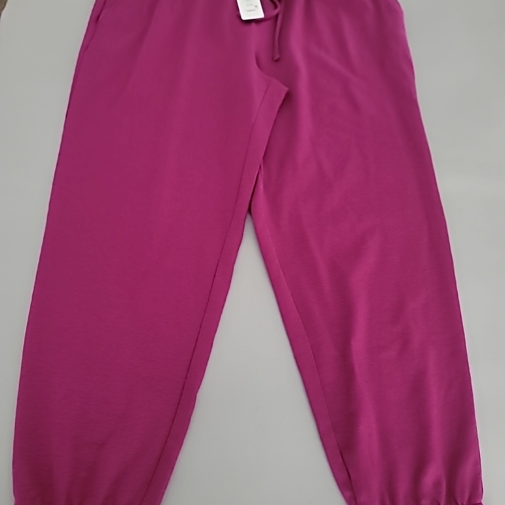 Eileen Fisher Women's Cozy Brushed Terry Hug Jogger Pant XS NWT - Picture 2 of 7